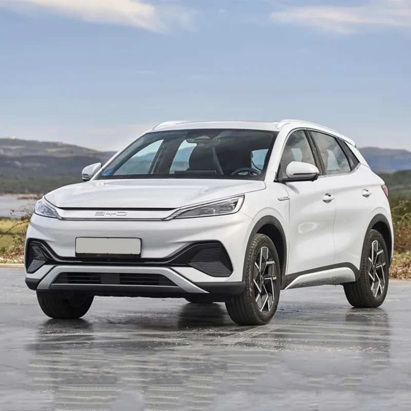 Customized China new energy vehicle export for international market