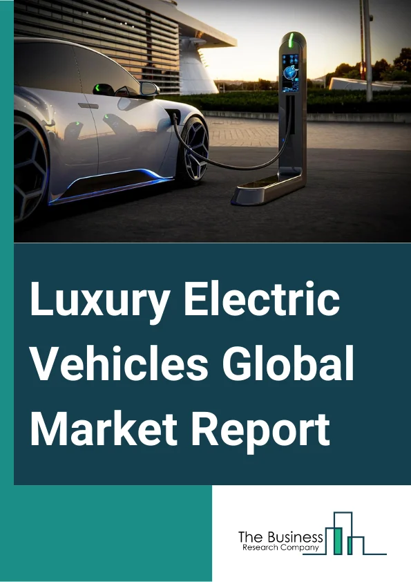 Customized China EV market report 2026 for international market