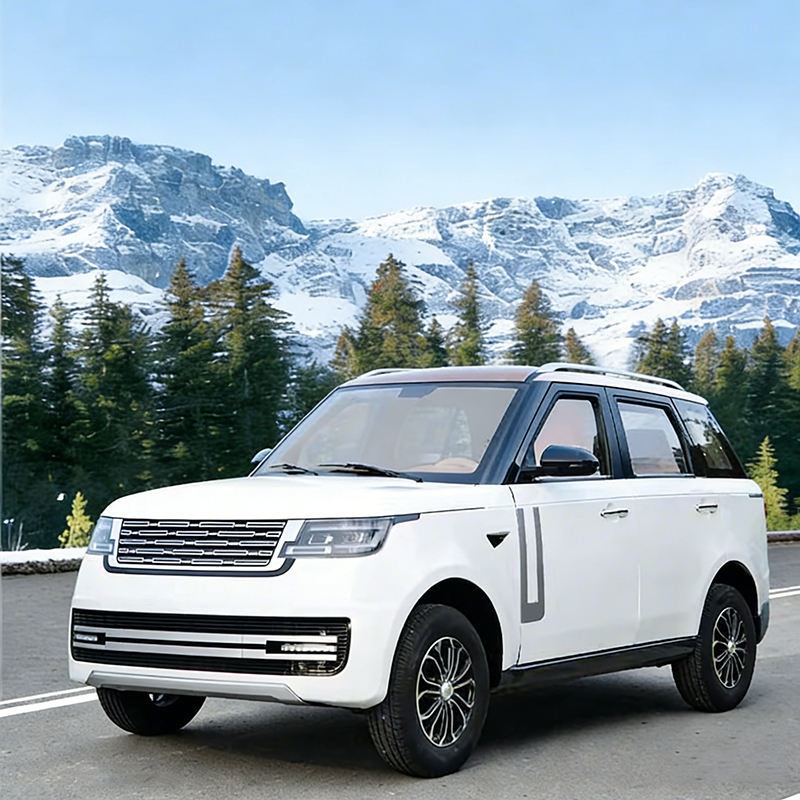 Customized right hand drive electric cars china for international market