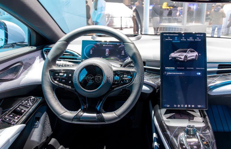 Customized Russian language flash for BYD for international market